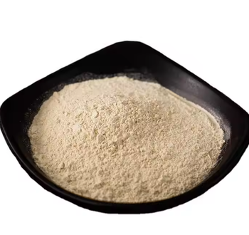 Garlic powder – product photo, Garlic Rice Powder products found from trusted suppliers, wholesalers, manufacturers & exporters Listing