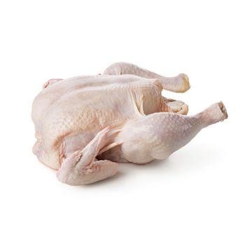 Whole Chicken Frozen / Halal Chicken Feet / Frozen Chicken Paws Brazil -  CALIPSO POLSKA SP Z OO  - Poland