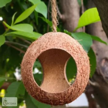 Handmade Coconut Shell Bird Feeder | 3 Hole Hanging Bird Feeder for Garden - ASR Exports  - India