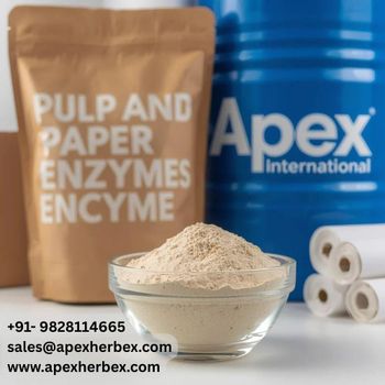 Xylanase Enzyme, Industrial Xylanase Enzyme,Xylanase Enzyme Supplier, Xylanase Enzyme Manufacturer, Xylanase Enzyme Supplier from India, Xylanase Enzyme for Pulp & Paper Industry, Pulp Processing Enzyme, Paper Processing Enzyme, Bio Bleaching Enzyme, Enzyme for Paper Industry, Xylanase for Pulp Bleaching, Industrial Paper Enzyme SolutionsIndustrial Enzyme Solutions, Food Processing Enzyme, Bio Processing Enzyme, Enzyme for Industrial Applications, High Performance Xylanase Enzyme. - APEX INTERNATIONAL - India