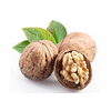 Product – product photo, Dried Kiwi Fruit products found from trusted suppliers, wholesalers, manufacturers & exporters Listing