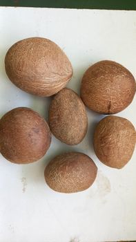 dried coconut copra or desiccated coconut (Power) - SUPER PLASTIC - India