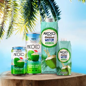 Coconut and Juice Products Form Flakes, Grated, Other - MEME GROUP COMPANY LTD - Cameroon