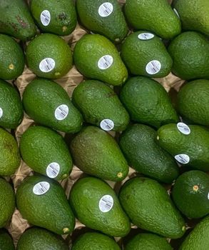 Fresh Avocado Size 12-15cm Texture Creamy Origin Viet Nam Color Dark Green Cultivation Type Normal Flesh Color Light Yellow - SOURCE GLOBAL TRADING GROUP - South Africa