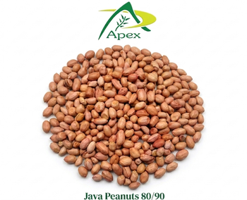 Java Peanut 8090,Java Peanuts, Java Peanut 80 90, Peanut, Peanuts, Arachis hypogaea, Java Peanut 80/90, Java Peanut, Java Peanut Kernels, Java Peanut, Indian Java Peanut, Indian Blanched Peanut, Peanuts Java Kernels, Peanuts Kernels, Peanut With Shell, Peanuts, Indian Peanut,Java Peanuts Supplier From India. from APEX INTERNATIONAL Java Peanut 8090,Java Peanuts, Java Peanut 80 90, Peanut, Peanuts, Arachis hypogaea, Java Peanut 80/90, Java Peanut, Java Peanut Kernels, Java Peanut, Indian Java Peanut, Indian Blanched Peanut, Peanuts Java Kernels, Peanuts Kernels, Peanut With Shell, Peanuts, Indian Peanut,Java Peanuts Supplier From India. - APEX INTERNATIONAL - India