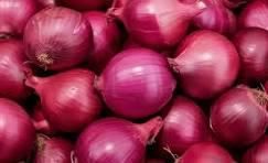 Fresh Red Onion