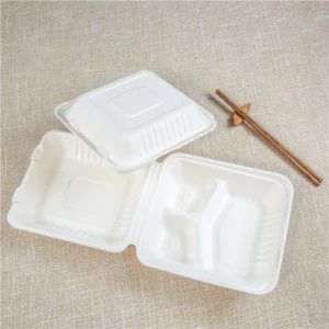 Sugar Cane Disposal Bagasse India Recycle Sugarcane Takeaway Disposable Lunch Box - Laizhou Dechen Machinery Co., Ltd. - China