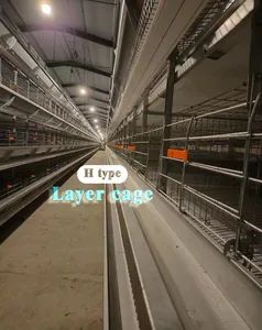 Reliable Automatic Tools for High-Accuracy Chicken Farm Efficiency - Raisetech Co., Ltd. - China