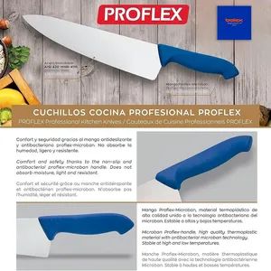 Professional Commecial Kitchen Knives and Chefs Knives, Gastronomy Gournet Restaurant Hotel Equipments and Supplies, Pizza Shop Knives and Supplies. China - Fenghua Litai Meat Grinder Machinery Co., Ltd. - China