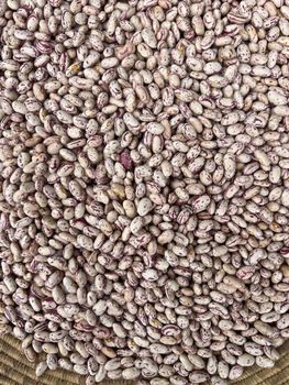 light speckled kidney beans 5% broken - dgs impex - Ethiopia