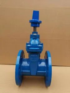 Acs Certificate Hot Sale Cast Iron DIN F4 F5 Resilient Seated Gate Valve - Suntex Import & Export Trading Co., Ltd. - China