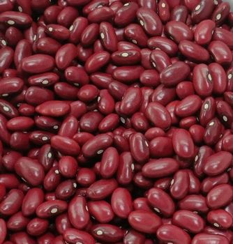 Read bean Organic Yes Origin Ethiopia Packaging Size 50 kg Degree of Processing Dried - Am star group trading plc - Ethiopia