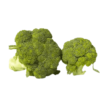 Premium Fresh Broccoli, Bulk Wholesale Export Grade, Affordable Price - A.C.P. AGRICULTURE COMPANY LIMITED - Thailand
