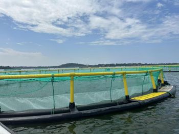 Floating fish cage diameter10m/circular cage, 5*5m/square - QIHANG FISHING CAGE - China