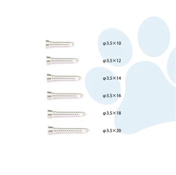 Vet Screws Stainless Steel Locking Bone Screw Orthopedic Instruments Bone Veterinary Orthopedic Implants Surgical Instruments - Changzhou Toolmed Medical Instruments Co., Ltd. - China