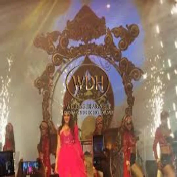 Bride Entry LED Heart Tunnel Mohali Banquet Halls Service Location Chandigarh, Kharar, Mohali, New Chandigarh And Nearby Areas, Panchkula, - Amy Events - India