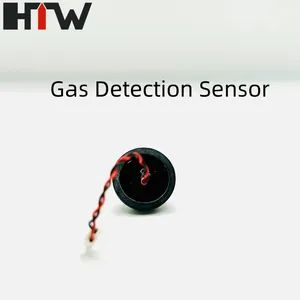 Gas Flow Piezo Sensor for Gas Leakage Detection with High Accuracy - Chengdu Huitong West-Electronic Co., Ltd. - China