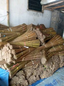 Coconut broom from PT RAGIL CENTRAL GLOBALINDO Coconut broom - PT RAGIL CENTRAL GLOBALINDO - Indonesia