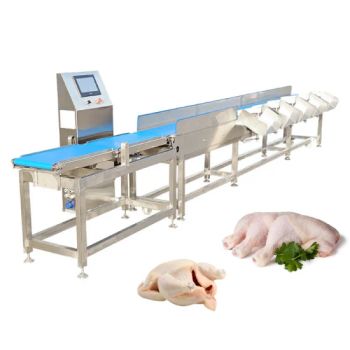 Professional Live Trout Fish Seafood Multistage Grader Sorter Orange Tomato Grading Shrimp Small Weight Sorting Machine - Henan Welly Machinery Equipment Co., Ltd. - China