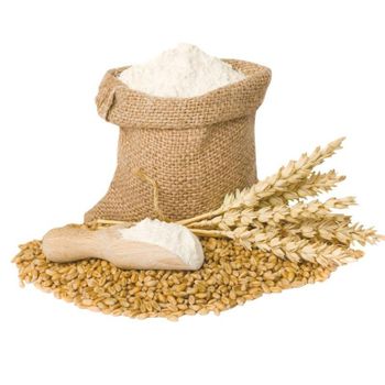 Wholesale Supplier of Organic Wheat Grains Flour Bulk Quantity Ready For Export from Exigentelaxia Unipessoal Lda Wholesale Supplier of Organic Wheat Grains Flour Bulk Quantity Ready For Export - Exigentelaxia Unipessoal Lda - Portugal
