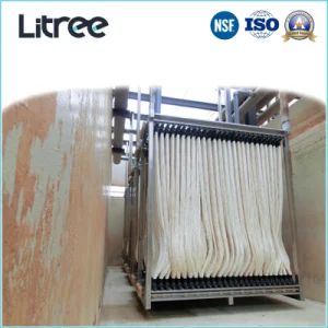 Litree Immersed Membrane Equipment for Slaughtering Water Treatment Plant - Hainan Litree Purifying Technology Co., Ltd. - China