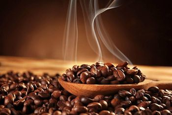 AA Grade Arabica & Robusta Coffee Beans - For Roasters and Export - CUBICDIOC GENERAL SOLUTION - Tanzania