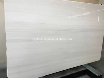 Bianco Dolomite White Marble Slabs - XIAMEN TSP STONE INDUSTRY CO., LTD. - China