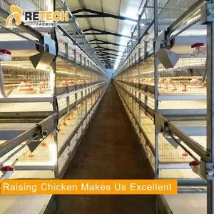 Automatic H Type Broiler Poultry Equipment Chicken Poultry Feeding Equipment - SHANDONG FARMING PORT GROUP CO., LTD - China