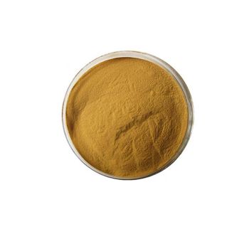 Organic Ashwagandha Root Powder Premium South Africa Herbal Extract 100% Pure Ashwagandha - EcoRoma GmbH - Germany
