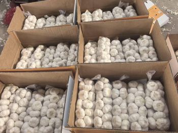 Premium Chinese Fresh White Garlic, Competitive Wholesale Price Direct from Origin - SHANDONG GALAXY INTERNATIONAL TRADING CO., LTD. - China