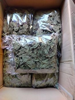 molokhia Packaging 25kg Flavor Mild, Earthy Color Vibrant Green Place of Origin Egypt Form Finely Dried Green Leaves Cuisine Egyptian And Middle Eastern Cuisine - Khirat Baladna KB for import & export - Egypt