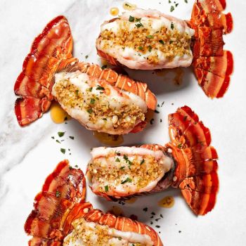 Spiny Lobster - Lawana and Sons Supplies - South Africa