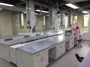 Latest Designs Lab Bench Lab Table Laboratory Furniture Origin China Condition New Color Optional Model NO. PW-IS-18 Customized - Guangzhou Penway Lab Equipment Co., Ltd. - China