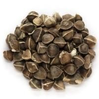 Mustard Seeds -  Soupin Jean Stephane  - France