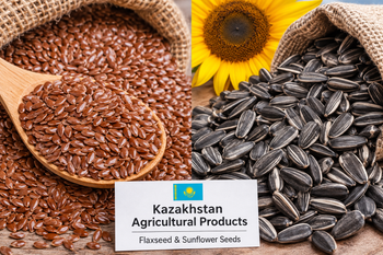 Kazakhstan Agricultural Products – Flaxseed & Sunflower Seeds - GS Group - Kazakhstan