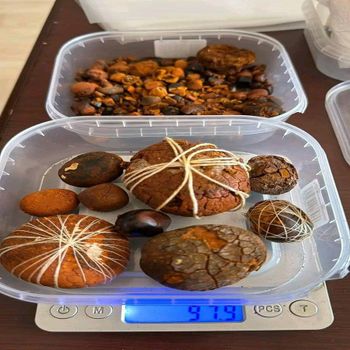 Premium Quality 100% Natural Ox Gallstones/Cattle Gallstones/ Cow Gallstones for Very Cheap and Reasonable Prices from CPW TRADE LTD Premium Quality 100% Natural Ox Gallstones/Cattle Gallstones/ Cow Gallstones for Very Cheap and Reasonable Prices - CPW TRADE LTD - United Kingdom