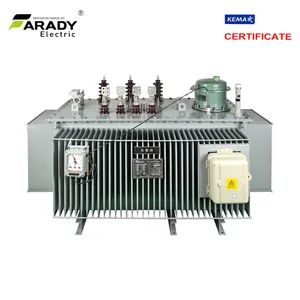 33kv Three Phase Voltage Regulator - Farady Electric Co., Ltd. - China
