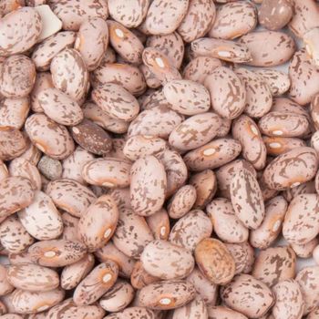 Export Ready Pinto Beans For Large Volume Buyers Pinto Beans Prepared Under Controlled Processing And Secure Packaging - AGRO AFRIQUE COMPANY LIMITED - Tanzania