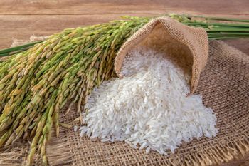 Rice from My Trade Global Rice - My Trade Global - Turkey