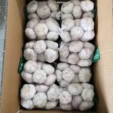 Fresh Organic Garlic Size 5.0cm Style Fresh Type Garlic Weight 0.2 Kg Ingredients - Thai Agri Company - Thailand