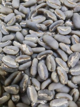 Liberica Green Beans Coffee – product photo, Long Green Beans products found from trusted suppliers, wholesalers, manufacturers & exporters Listing