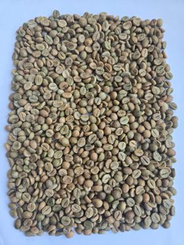 Coffee Beans - Aveem Corporation DMCC - United Arab Emirates