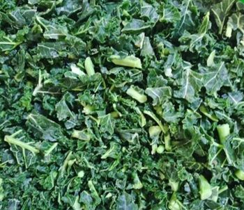 IQF frozen kale frozen cabbage frozen savoy cabage - LINYI ORGANIC FOODSTUFFS CO.,LTD - China