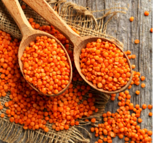 Red lentils from Kredos Globx Red lentils - Kredos Globx - India