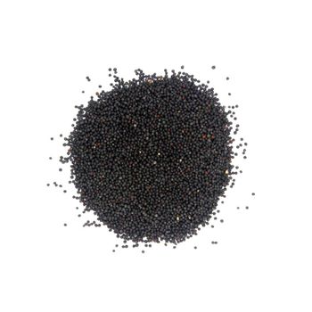Cheap price rapeseed available for wholesale supply to global buyers - AFRIVET TRADING SERVICES - South Africa