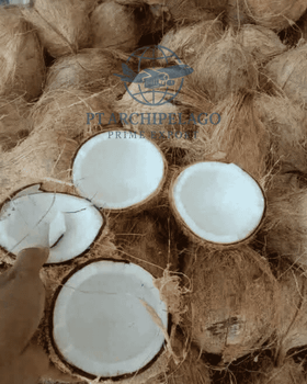 coconut mature / coconut old /semi husk coconut - Pt Archipelago Prime Export - Indonesia