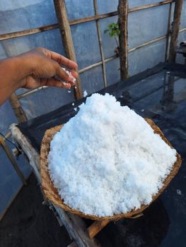 Traditional sea salt Origin Worldwide Features Gluten-Free, Organic Product Type Spices, Seasonings & Flavors - Segara kusamba - Indonesia