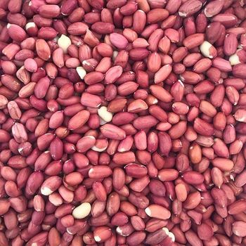 Peanut 100 Natural Raw Dried Peanuts Without Shell Red Skin / Blanched Kernels Grade a for Export Cheap Price - TRADECENTRIC LLC - United States