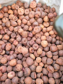 Premium Quality Betel Nuts for Export - Mutlu Et Mustafa - France