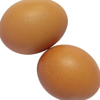 Fresh Table Chicken Eggs With Uniform Size And Color Chicken Eggs Ensuring Premium Quality For Food Industry Buyers - THE GREEN INTERNATIONAL LIMITED - Tanzania